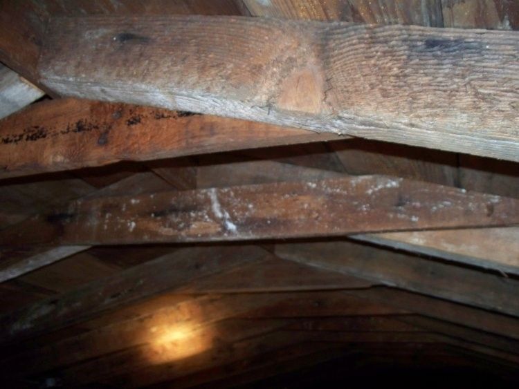 Soffit And Fascia Repair